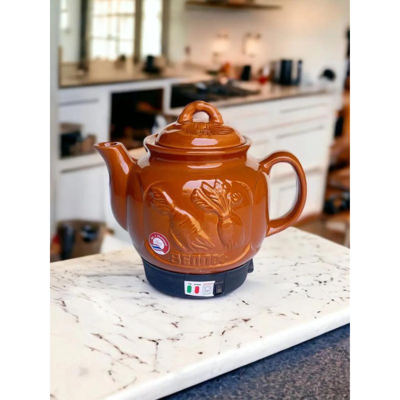 Siêu sắc thuốc Bennix BN-50ST - Hàng chính hãng