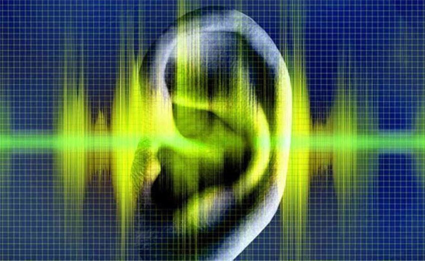 Amply Jarguar Suhyoung PA-230M cho âm thanh sống động