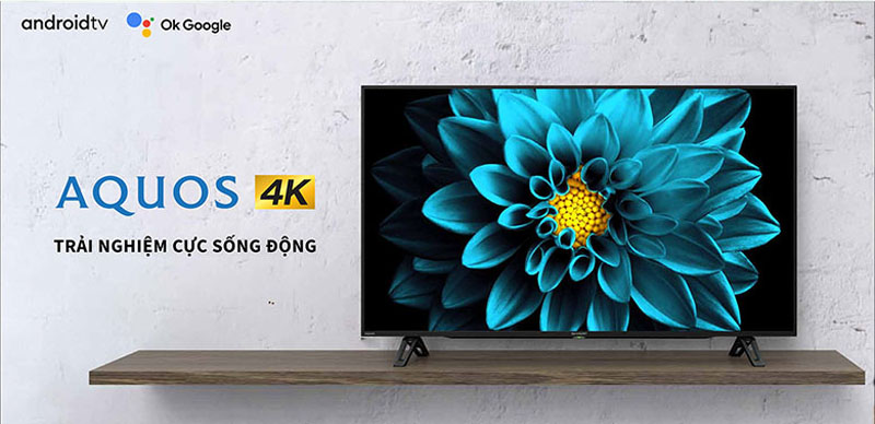 Độ phân giải 4K, kết hợp với bộ xử lý 4K Revelation Processor cho hình ảnh chân thực, rõ nét
