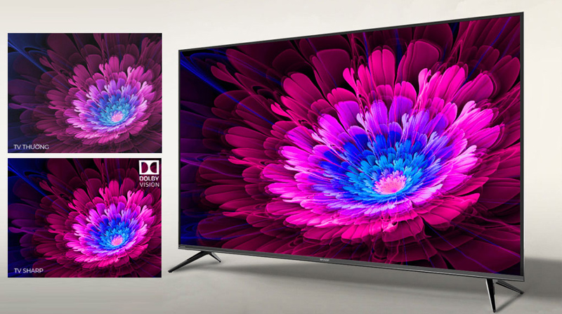 Android Tivi Sharp 4K 50 inch 4T-C50EK2X - Hàng chính hãng