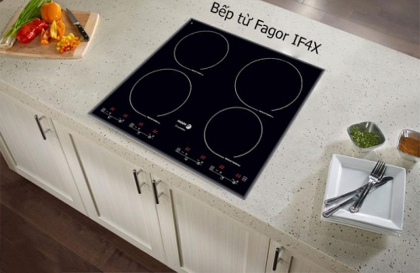 Bếp điện từ Fagor IF-4X 