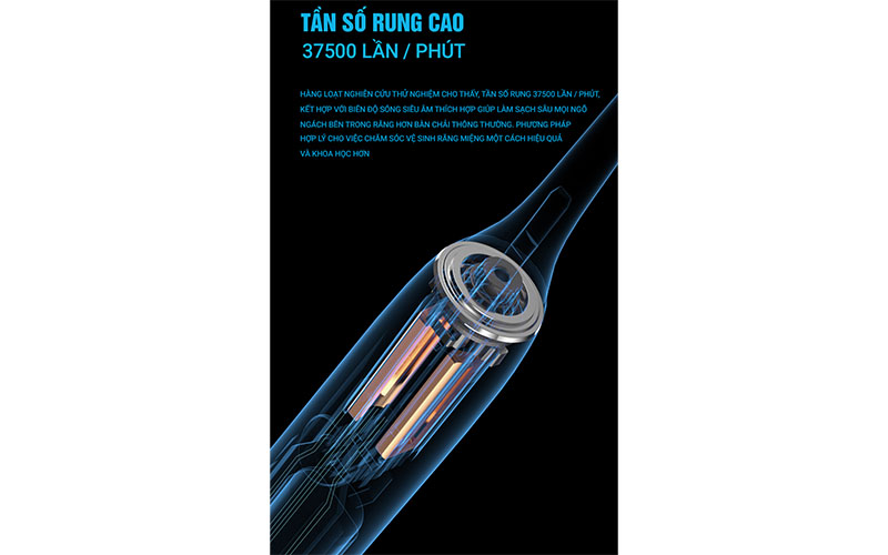 Bàn chải điện Flyco FT7105VN - Hàng chính hãng