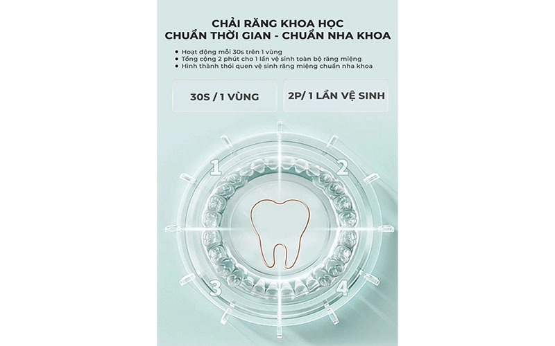 Bàn chải điện Magic B20