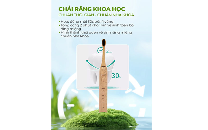 Bàn chải điện Magic B24 - Hàng chính hãng