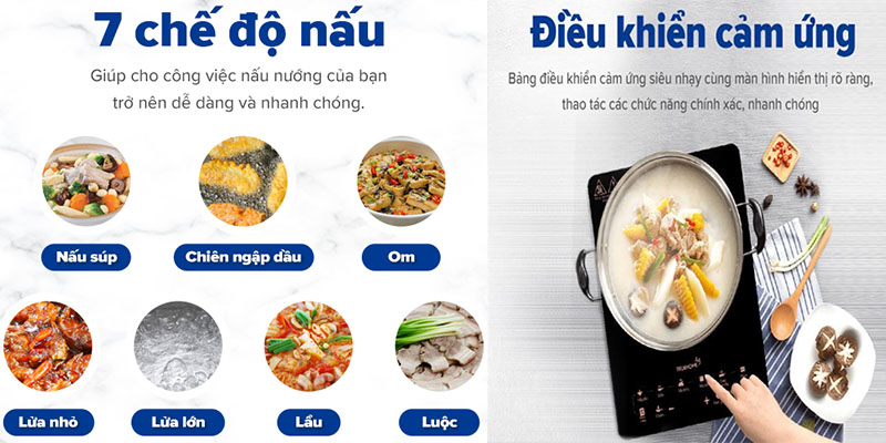 Bếp từ đơn TrueHome TI-21TS2(B) - Hàng chính hãng