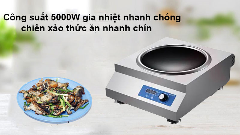 Bếp điện từ mặt lõm SQC WC-500B1 - Hàng chính hãng