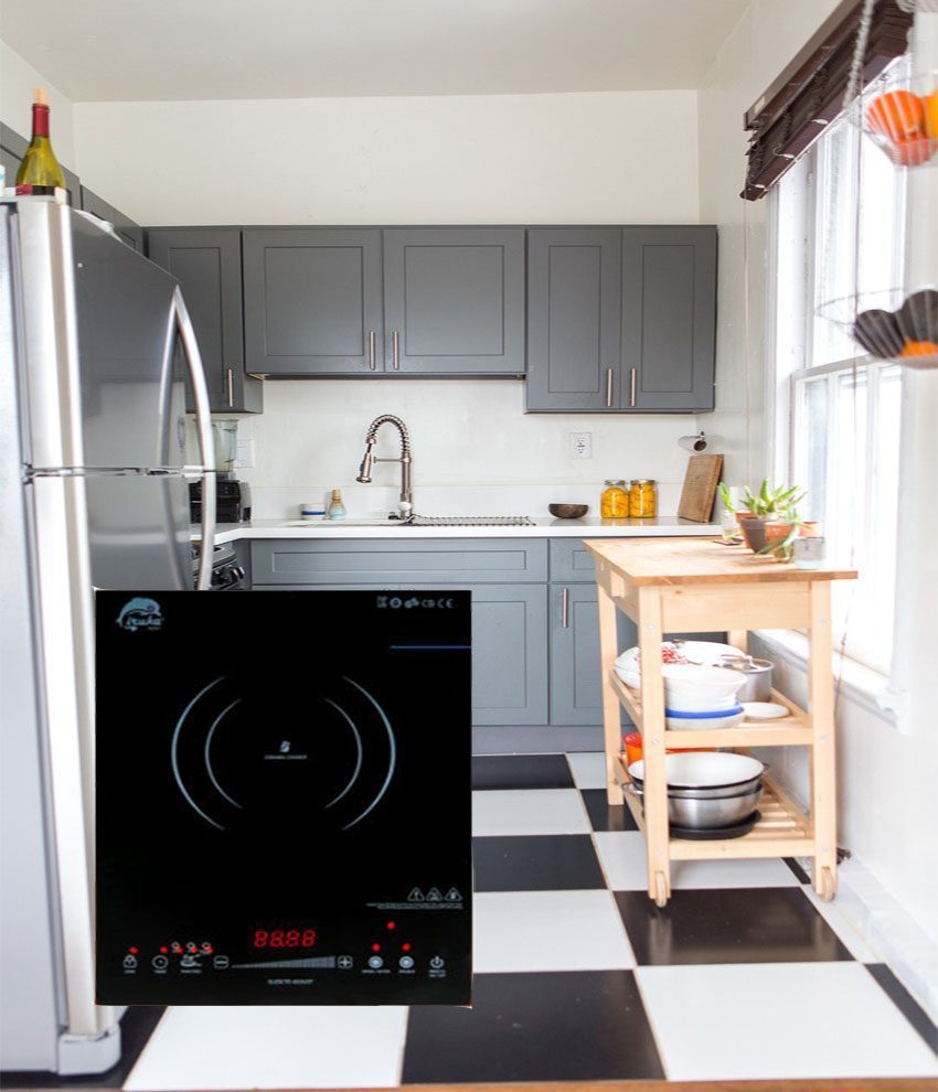 Bếp đơn hồng ngoại Iruka I-110 - Hàng chính hãng