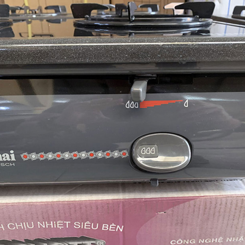 Bếp gas dương Rinnai RV-5600-SCH(BK) - Hàng chính hãng