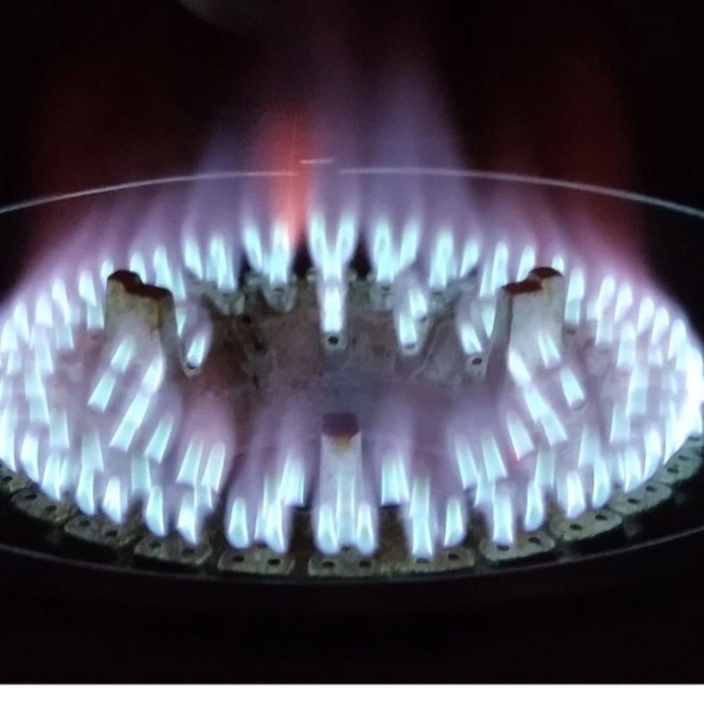 Bếp gas công nghiệp Rinnai RI-2RSPN - Hàng chính hãng