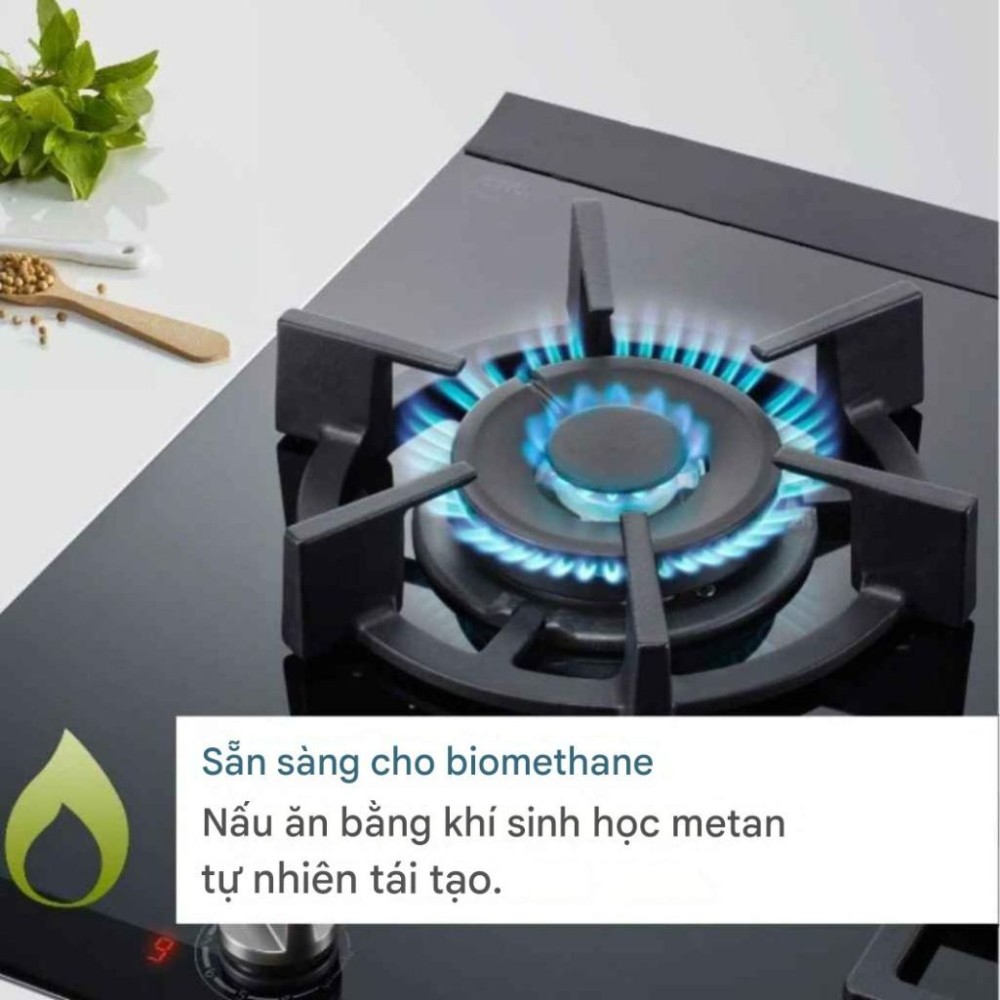 Bếp gas Domino Bosch PRB3A6I40 - Hàng chính hãng