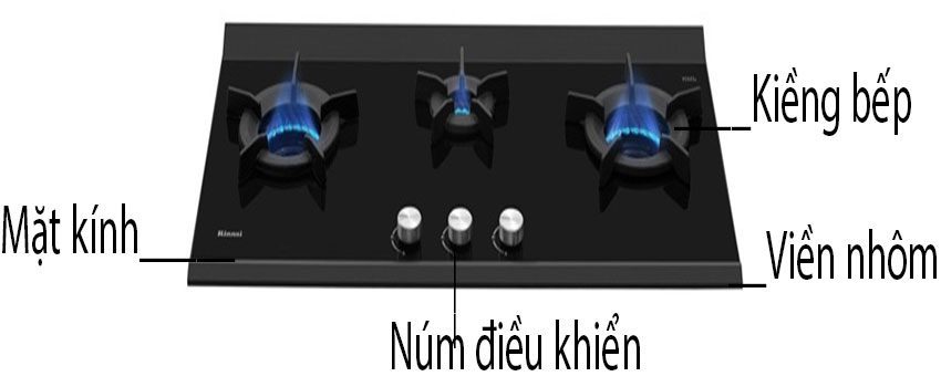 Bếp gas âm Rinnai RB-3VCGN - Hàng chính hãng