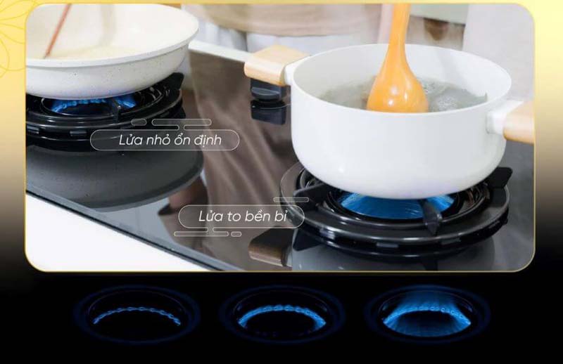 Bếp gas âm Rinnai RVB-2IFE(B) - Hàng chính hãng