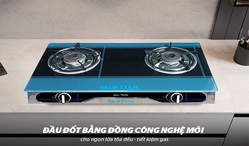 Bếp gas đôi Bluestar NG-5790VTD - Hàng chính hãng
