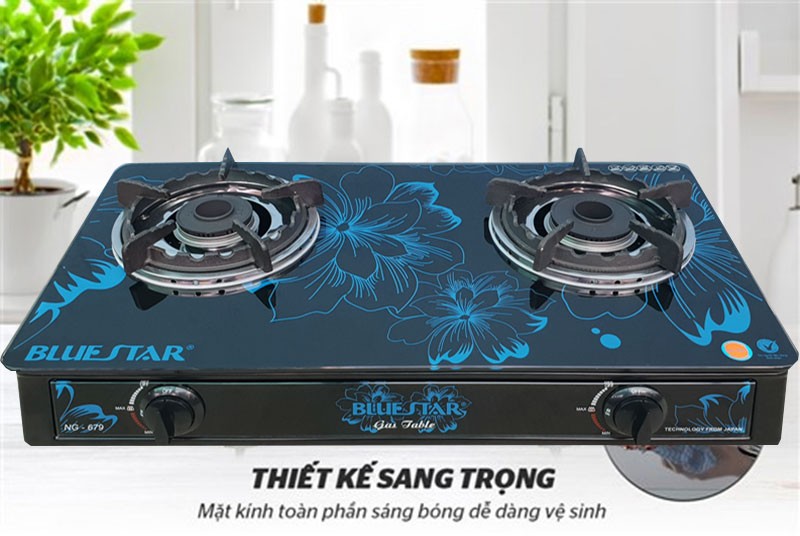 Bếp gas đôi Bluestar NG-679V - Hàng chính hãng