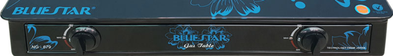 Bếp gas đôi Bluestar NG-679V - Hàng chính hãng