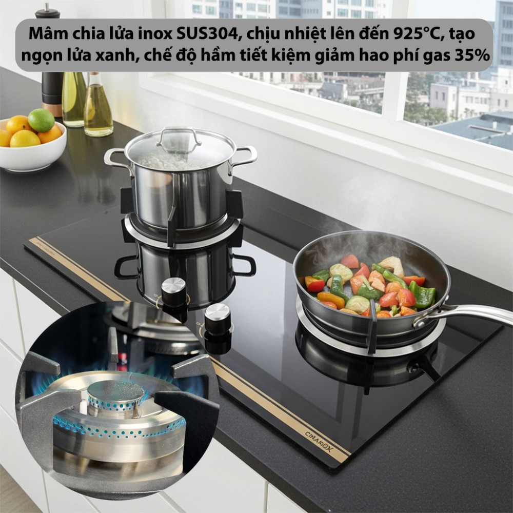 Bếp gas đôi âm kính GrandX GX-GS299D - Hàng chính hãng