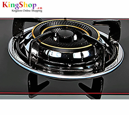 Bếp gas dương Taka TK-608E - Hàng chính hãng
