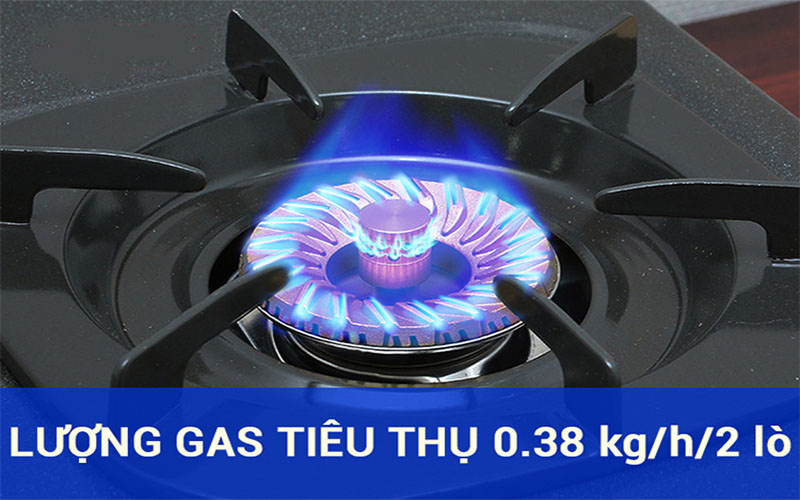Bếp gas dương đôi Rinnai RV-375(G)N - Hàng chính hãng