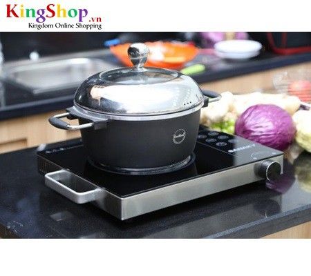 Bếp hồng ngoại Sanaky AT-2522HGN