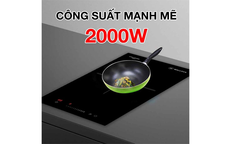 Bếp hồng ngoại đơn Domino Malloca MDR-301 - Hàng chính hãng