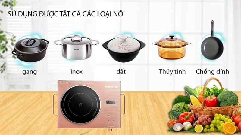 Bếp hồng ngoại đơn cảm ứng Perfect PF-BH86 - Hàng chính hãng