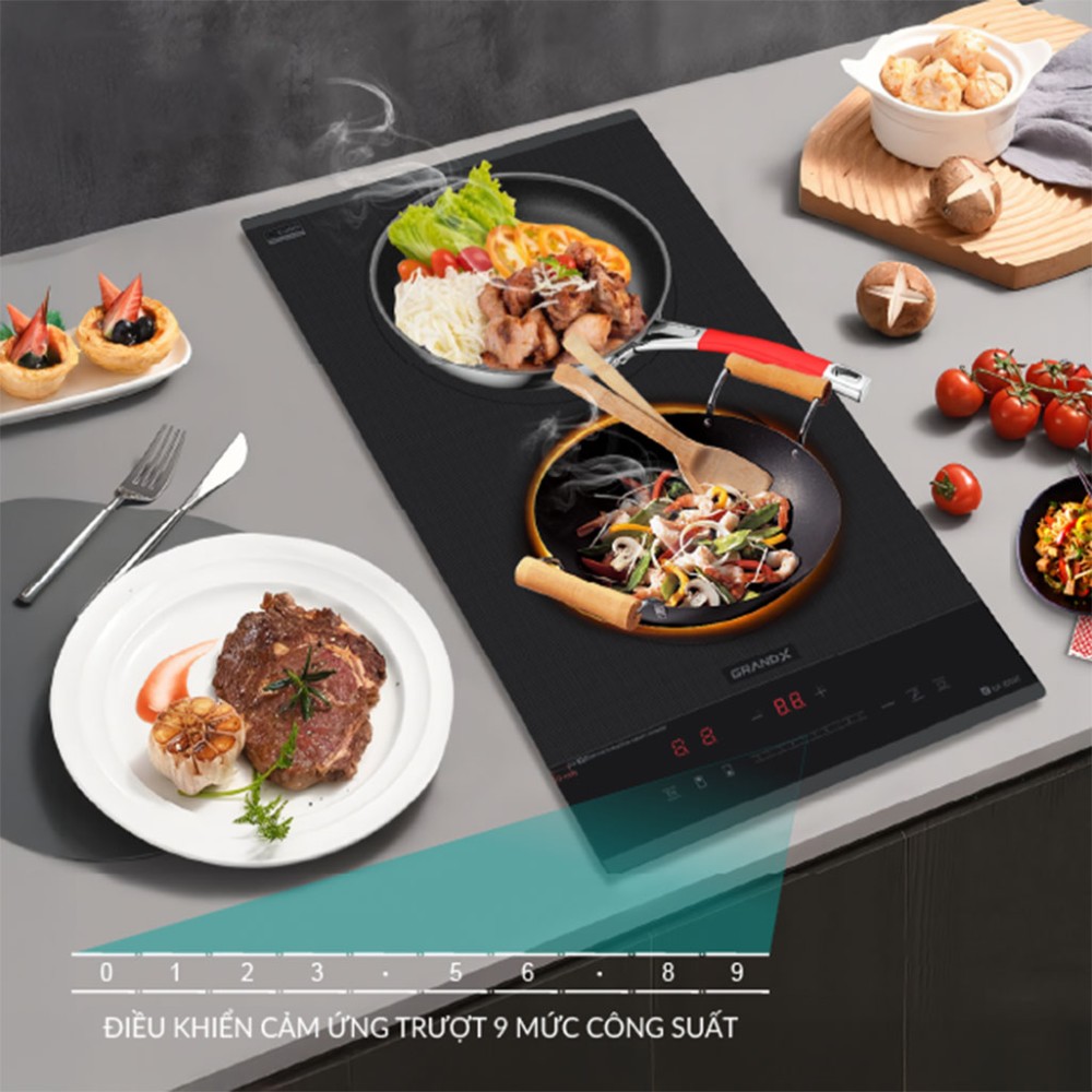 Bếp từ 2 vùng nấu Domino GrandX GX-ID505 - Hàng chính hãng
