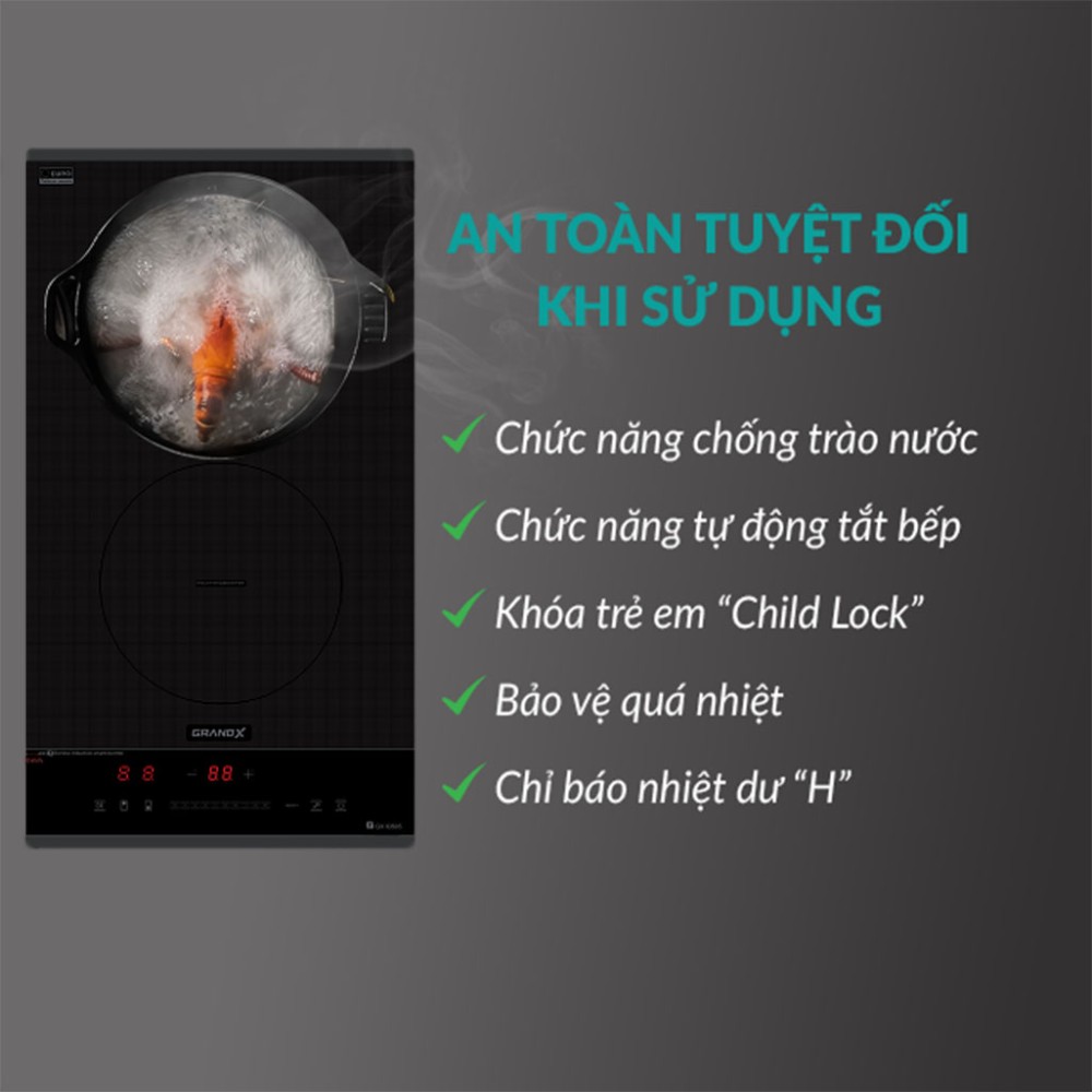 Bếp từ 2 vùng nấu Domino GrandX GX-ID505 - Hàng chính hãng