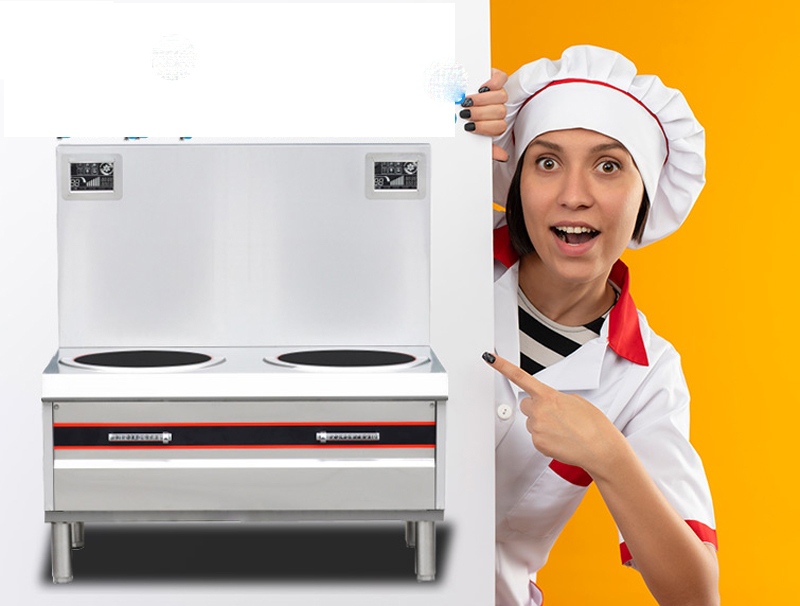 Bếp điện từ đôi công nghiệp Fushima BTFSM-15MP2 - Hàng chính hãng