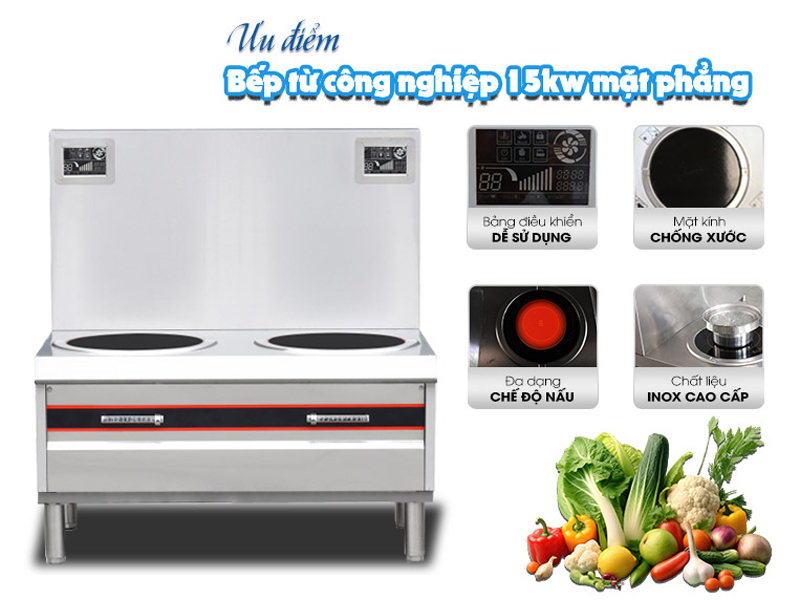 Bếp điện từ đôi công nghiệp Fushima BTFSM-15MP2 - Hàng chính hãng