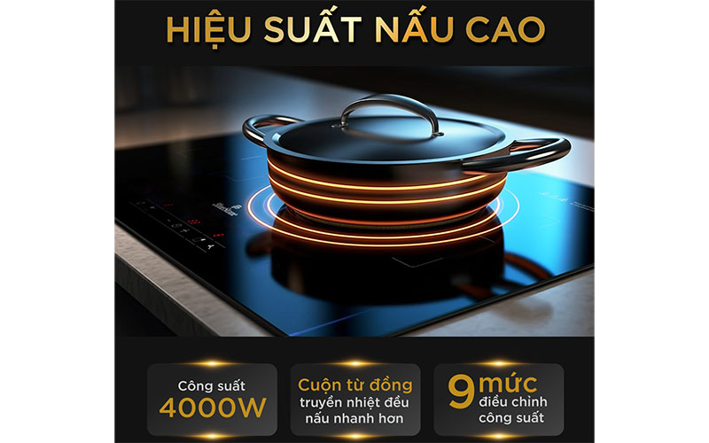 Bếp từ đôi BlueStone ICB-6819 - Hàng chính hãng