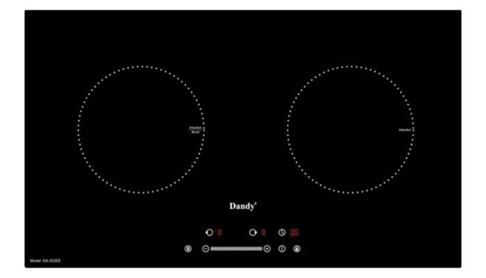 Bếp từ Dandy DA-302EE