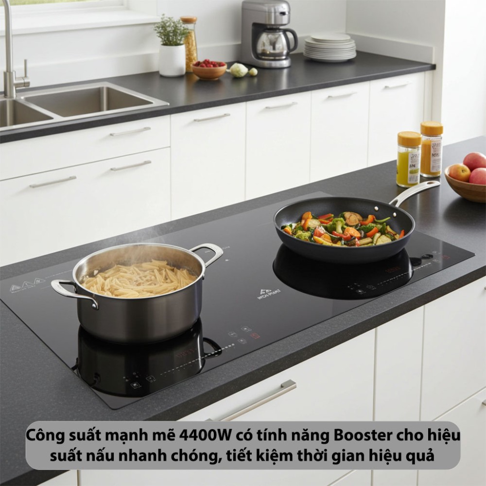 Bếp từ đôi Inverter Hòa Phát HPC-3D19H - Hàng chính hãng