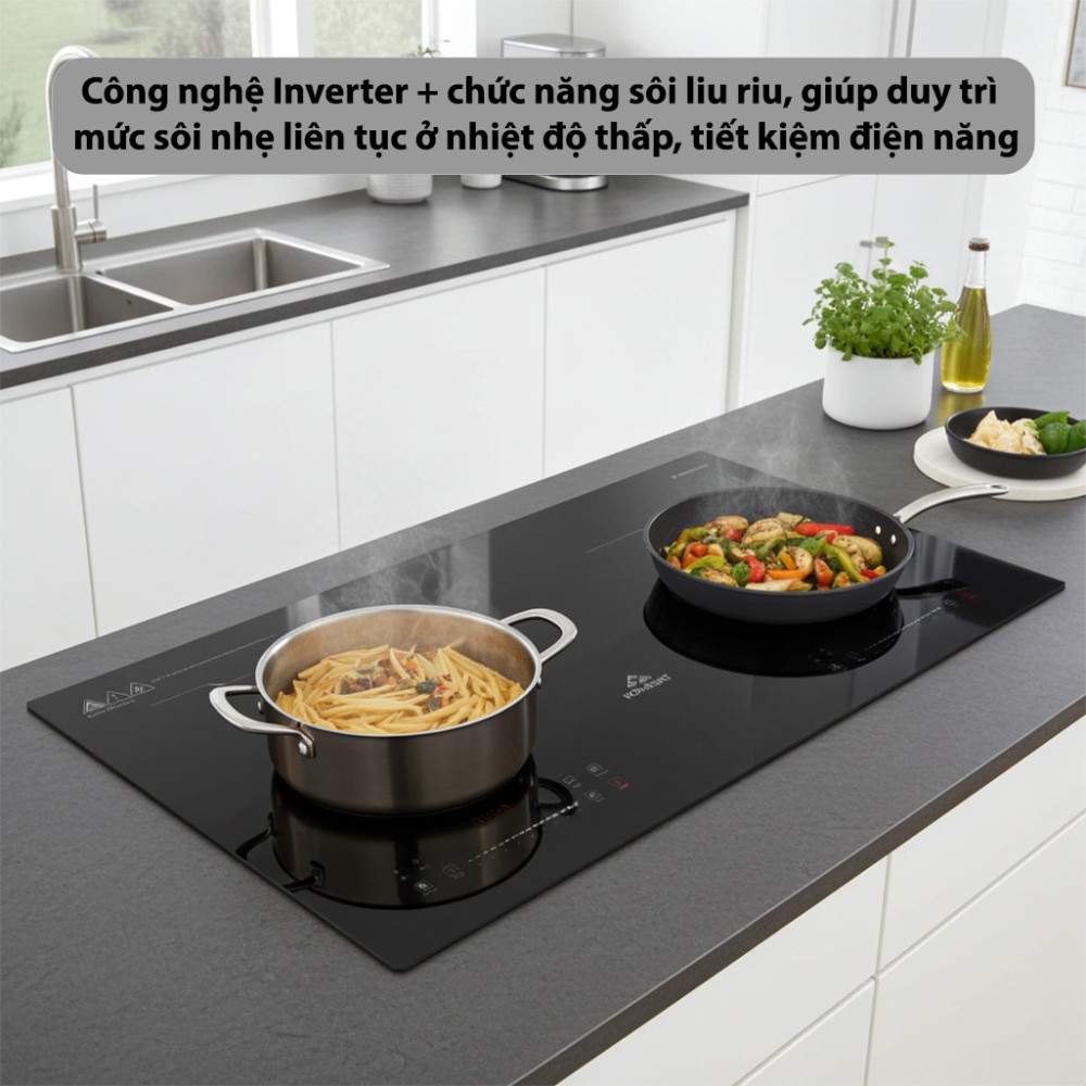 Bếp từ đôi Inverter Hòa Phát HPC-3D19H - Hàng chính hãng