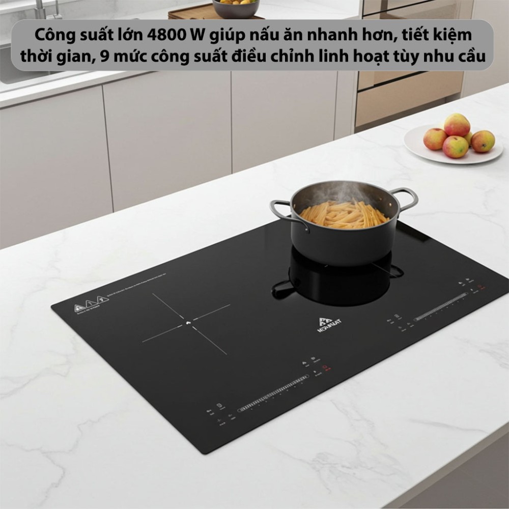 Bếp từ đôi Inverter Hòa Phát HPC-3D20H - Hàng chính hãng