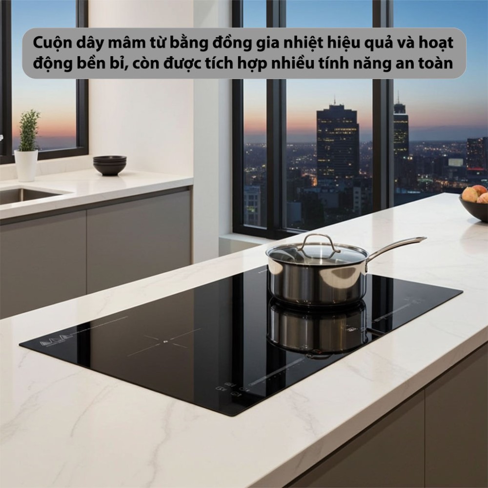 Bếp từ đôi Inverter Hòa Phát HPC-3D21H - Hàng chính hãng