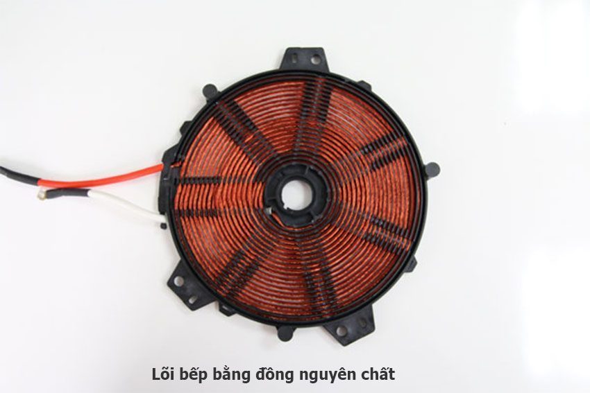 Bếp từ đơn Rapido RI2000ES - Hàng chính hãng