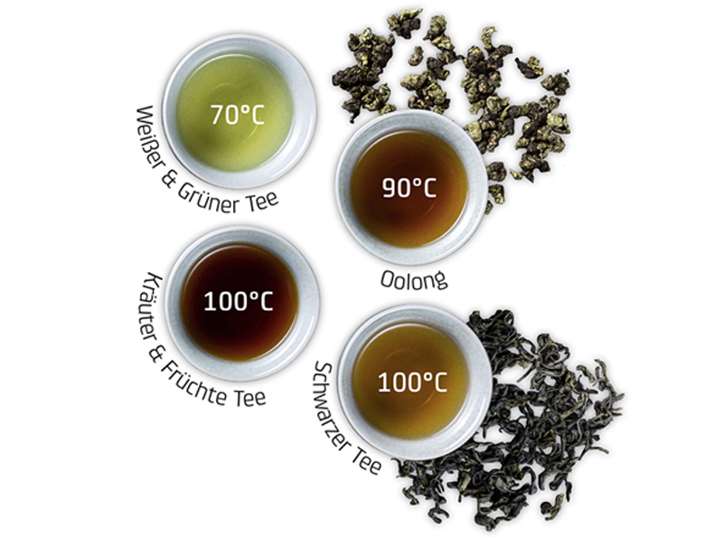 Bình thủy điện Caso HW630 - Hàng chính hãng