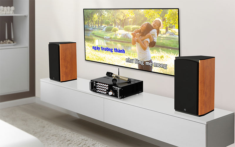Bộ karaoke và nghe nhạc Paramax CBZ-1000