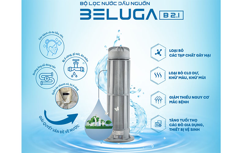 Bộ lọc nước đầu nguồn Tân Á Đại Thành Beluga B2.1 250 - Hàng chính hãng