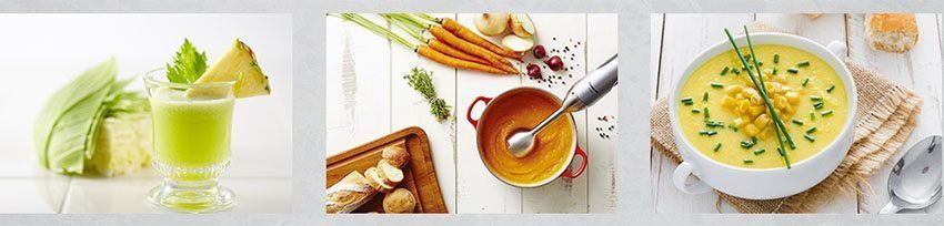 Chức năng của bộ máy xay đa năng cầm tay Panasonic MX-S401SSQ