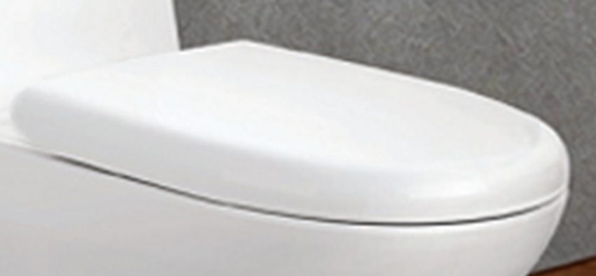 Nắp đậy của  bồn cầu một khối Viglacera V40