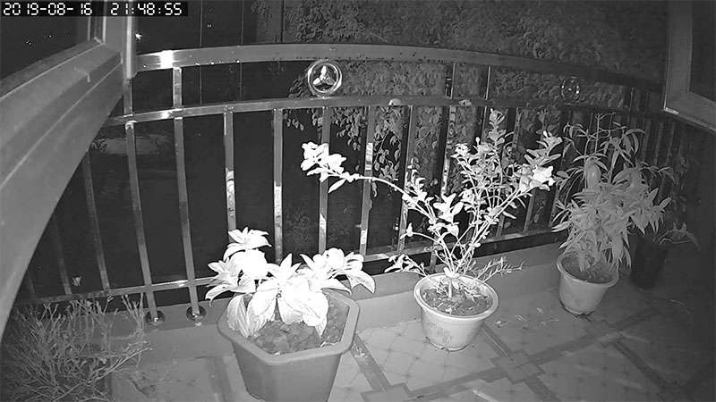 Camera wifi Yoosee 1.3MPX - Hàng chính hãng