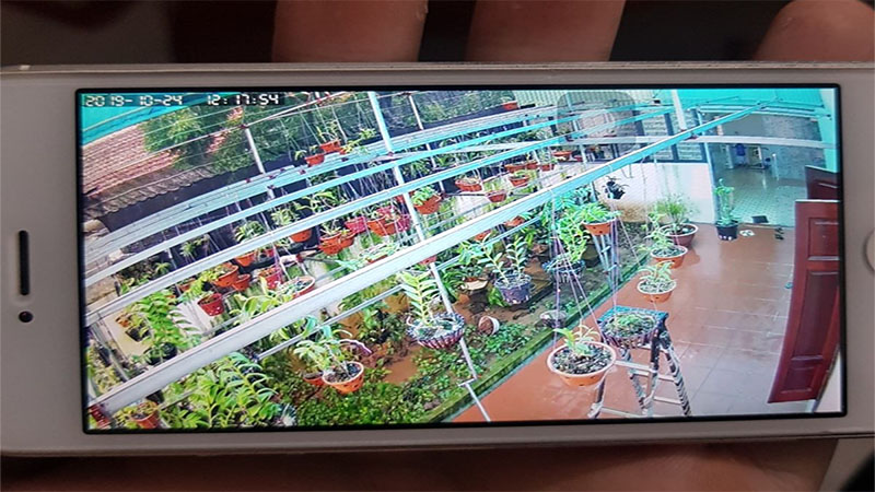 Camera wifi Yoosee 1.3MPX - Hàng chính hãng
