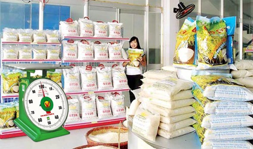 Cân đồng hồ lò xo Nhơn Hòa 100Kg NHS-100 - Hàng chính hãng
