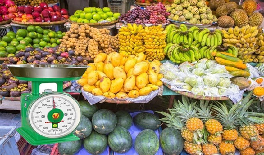 Ứng dụng của Cân đồng hồ lò xo Nhơn Hòa 1Kg NHS-1