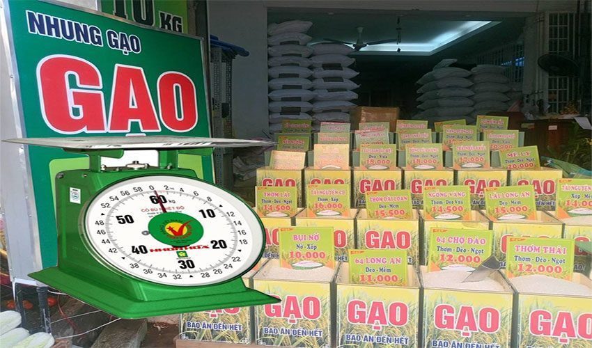 Cân đồng hồ lò xo Nhơn Hòa 60Kg NHS-60 - Hàng chính hãng