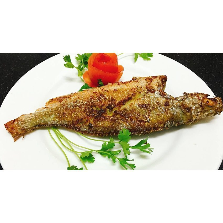 Chảo trơn Sunhouse CT22 - Hàng chính hãng