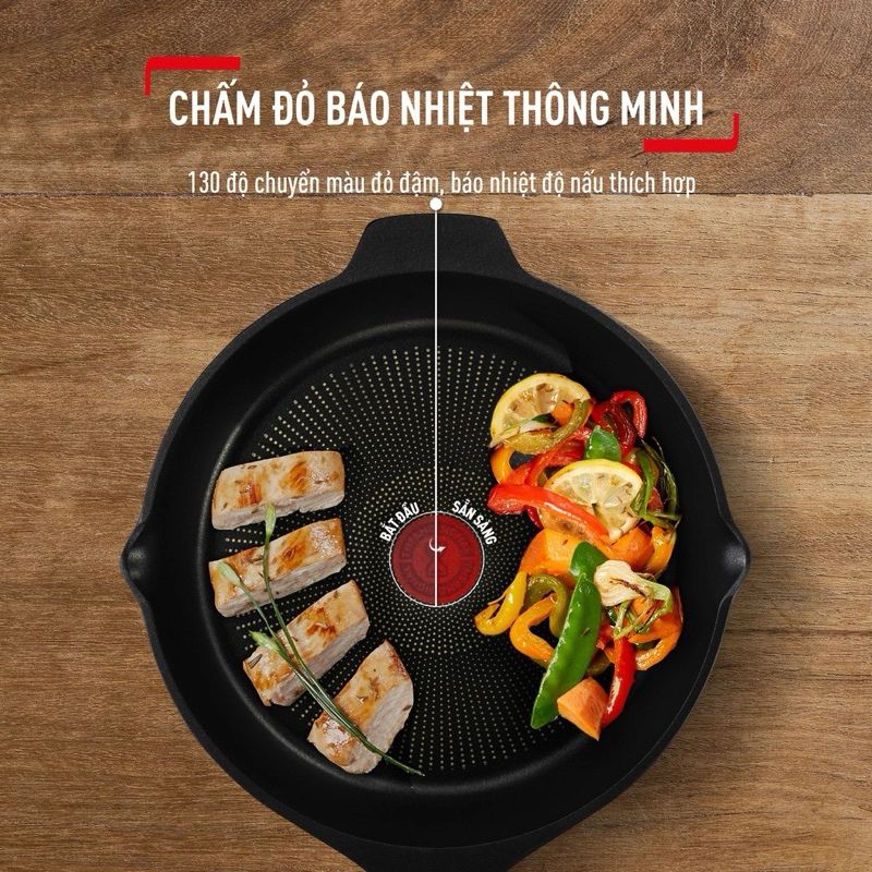Chảo đúc sâu lòng cao cấp Tefal Robusto 28cm E2491944 - Hàng chính hãng
