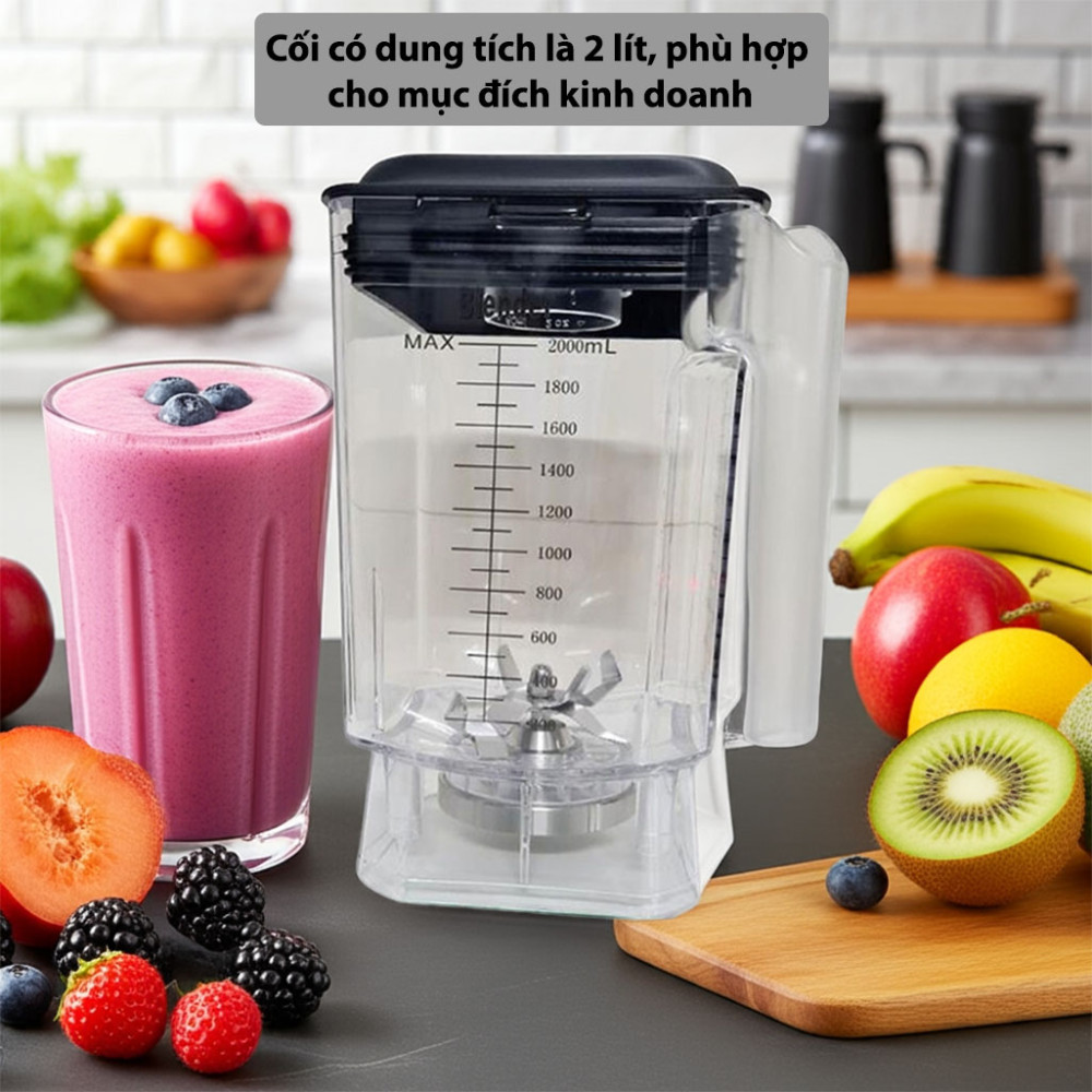 Cối máy xay sinh tố công nghiệp Promix C-9003 - Hàng chính hãng