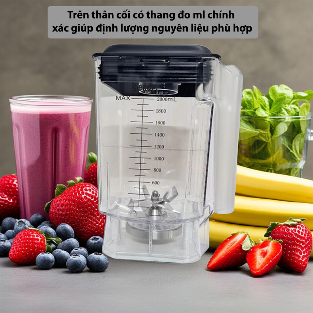 Cối máy xay sinh tố công nghiệp Promix C-9003 - Hàng chính hãng